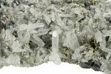 Chalcopyrite and Pyrite Crystals on Quartz - Peru #257294-2
